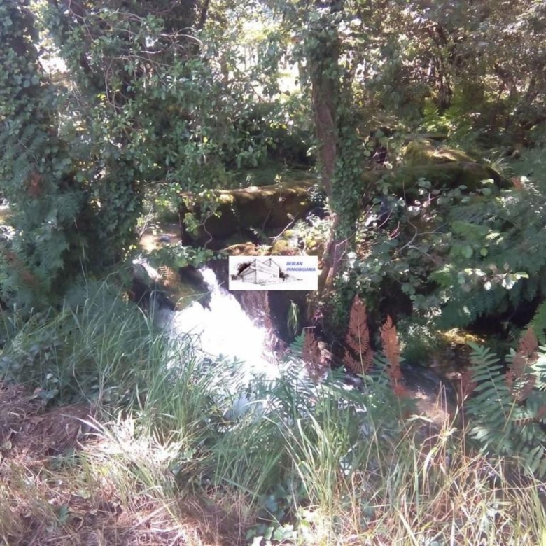SE VENDE FINCA MOLINO DEL CENTENO DE 17.700 M2 CON MOLINO HABILITADO COMO VIVIENDA