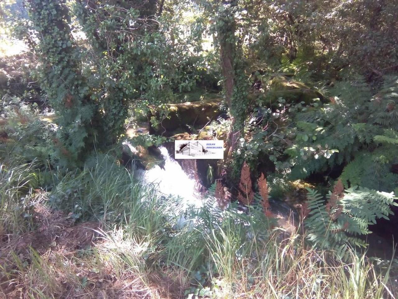 SE VENDE FINCA MOLINO DEL CENTENO DE 17.700 M2 CON MOLINO HABILITADO COMO VIVIENDA