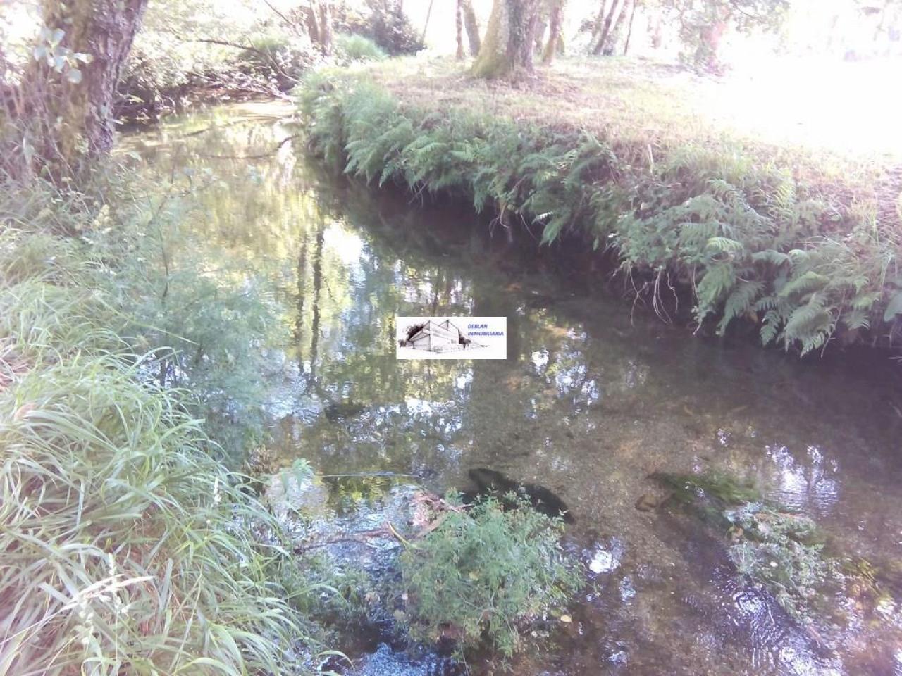 SE VENDE FINCA MOLINO DEL CENTENO DE 17.700 M2 CON MOLINO HABILITADO COMO VIVIENDA