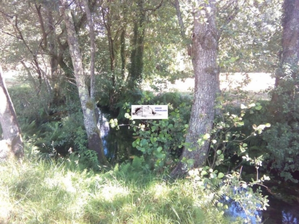 SE VENDE FINCA MOLINO DEL CENTENO DE 17.700 M2 CON MOLINO HABILITADO COMO VIVIENDA