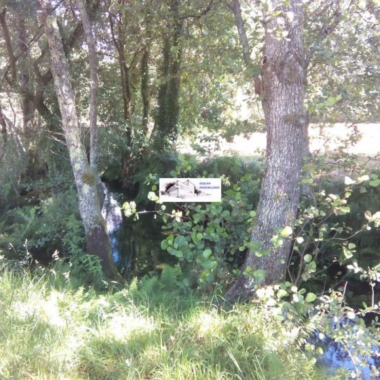 SE VENDE FINCA MOLINO DEL CENTENO DE 17.700 M2 CON MOLINO HABILITADO COMO VIVIENDA