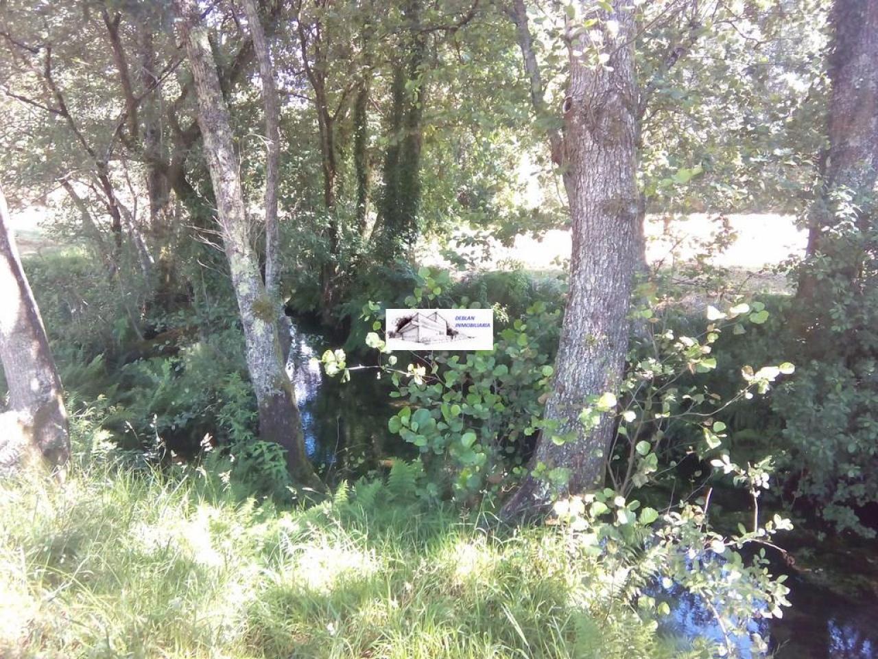 SE VENDE FINCA MOLINO DEL CENTENO DE 17.700 M2 CON MOLINO HABILITADO COMO VIVIENDA