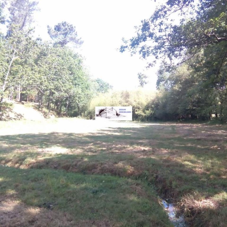 SE VENDE FINCA MOLINO DEL CENTENO DE 17.700 M2 CON MOLINO HABILITADO COMO VIVIENDA