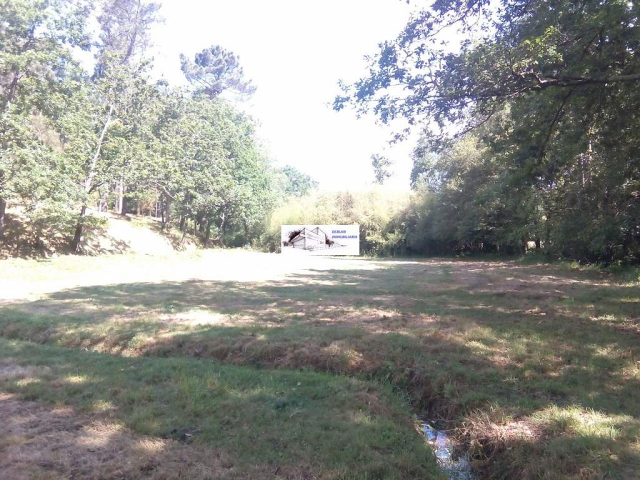 SE VENDE FINCA MOLINO DEL CENTENO DE 17.700 M2 CON MOLINO HABILITADO COMO VIVIENDA
