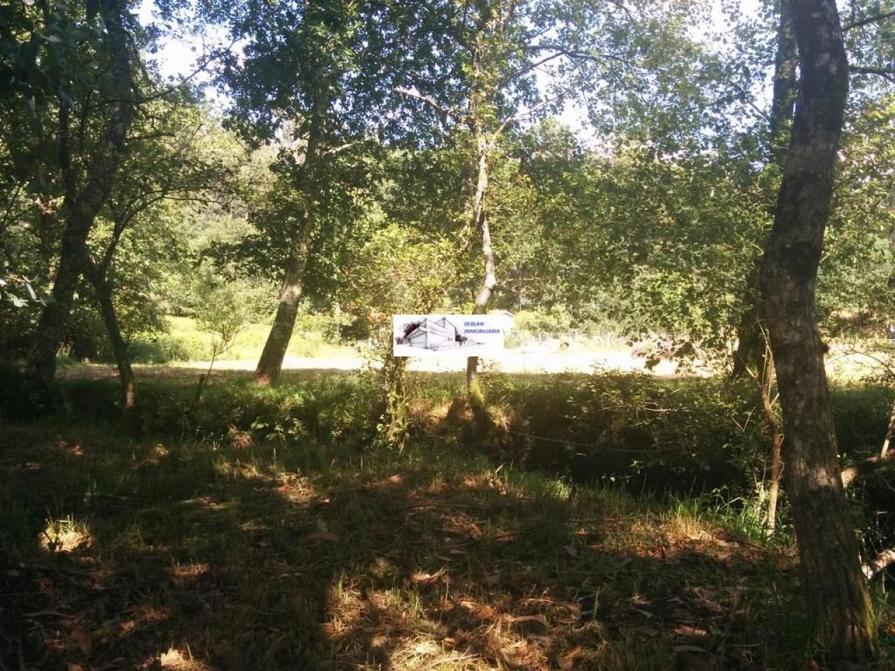 SE VENDE FINCA MOLINO DEL CENTENO DE 17.700 M2 CON MOLINO HABILITADO COMO VIVIENDA