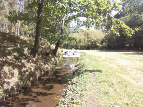 SE VENDE FINCA MOLINO DEL CENTENO DE 17.700 M2 CON MOLINO HABILITADO COMO VIVIENDA