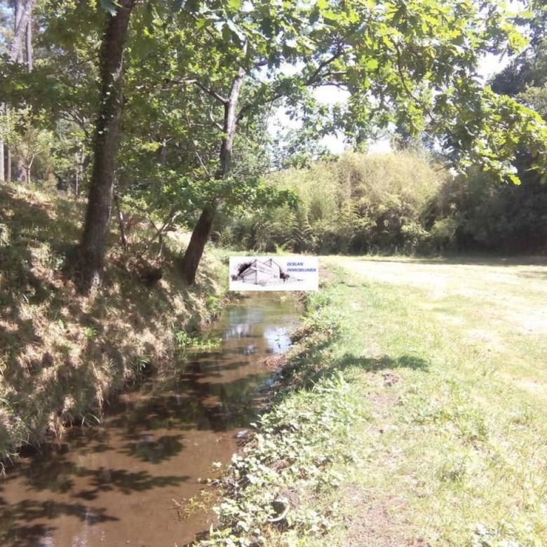 SE VENDE FINCA MOLINO DEL CENTENO DE 17.700 M2 CON MOLINO HABILITADO COMO VIVIENDA