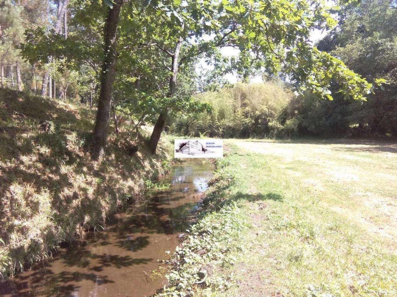 SE VENDE FINCA MOLINO DEL CENTENO DE 17.700 M2 CON MOLINO HABILITADO COMO VIVIENDA