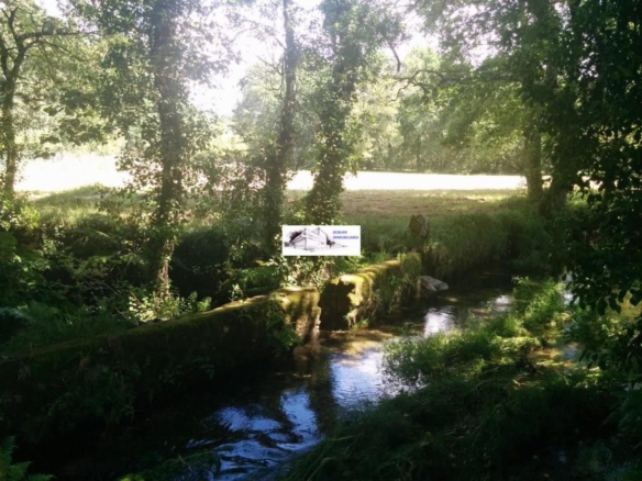 SE VENDE FINCA MOLINO DEL CENTENO DE 17.700 M2 CON MOLINO HABILITADO COMO VIVIENDA