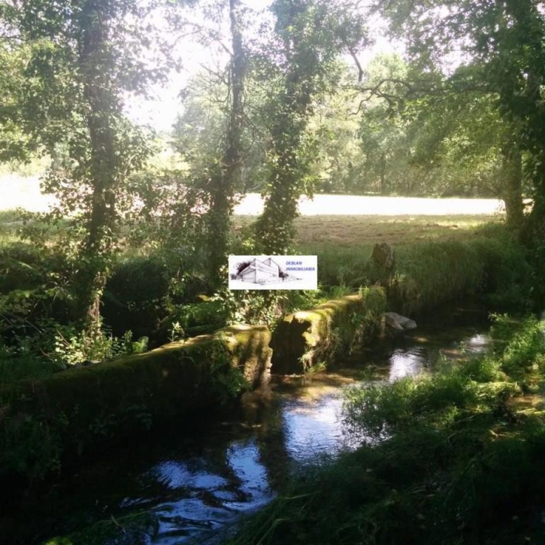 SE VENDE FINCA MOLINO DEL CENTENO DE 17.700 M2 CON MOLINO HABILITADO COMO VIVIENDA
