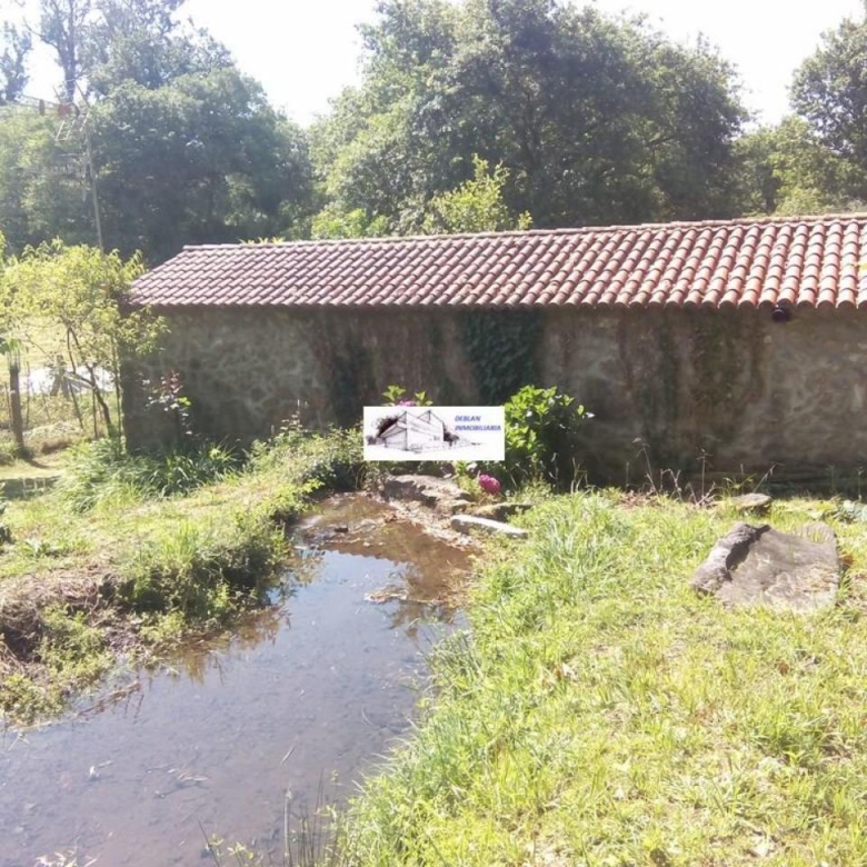 SE VENDE FINCA MOLINO DEL CENTENO DE 17.700 M2 CON MOLINO HABILITADO COMO VIVIENDA