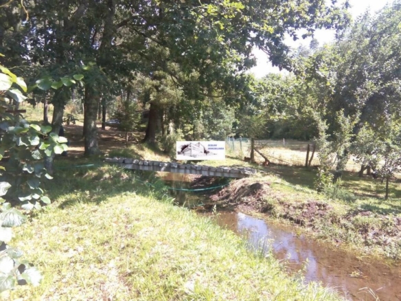 SE VENDE FINCA MOLINO DEL CENTENO DE 17.700 M2 CON MOLINO HABILITADO COMO VIVIENDA