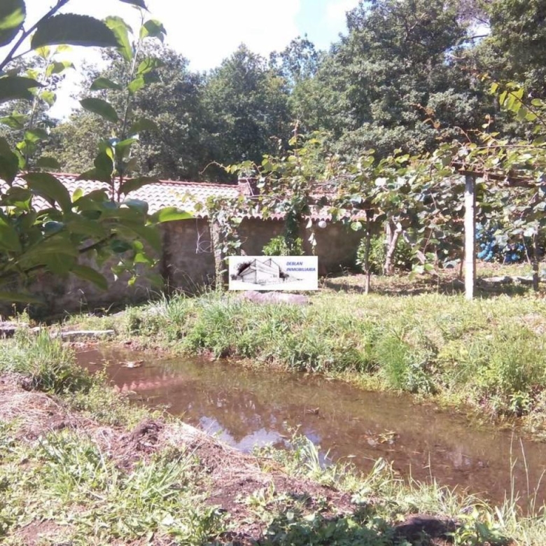 SE VENDE FINCA MOLINO DEL CENTENO DE 17.700 M2 CON MOLINO HABILITADO COMO VIVIENDA