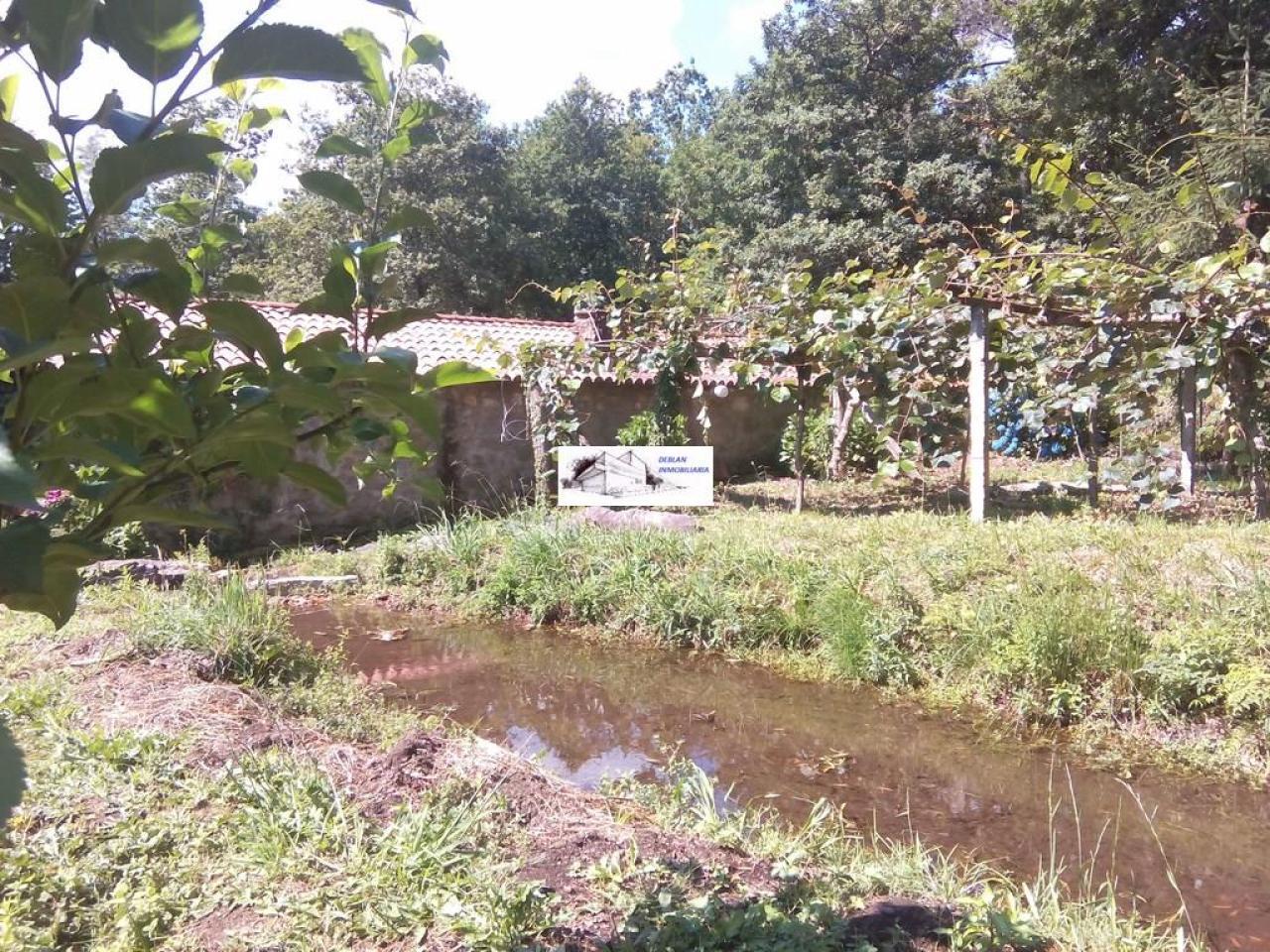 SE VENDE FINCA MOLINO DEL CENTENO DE 17.700 M2 CON MOLINO HABILITADO COMO VIVIENDA