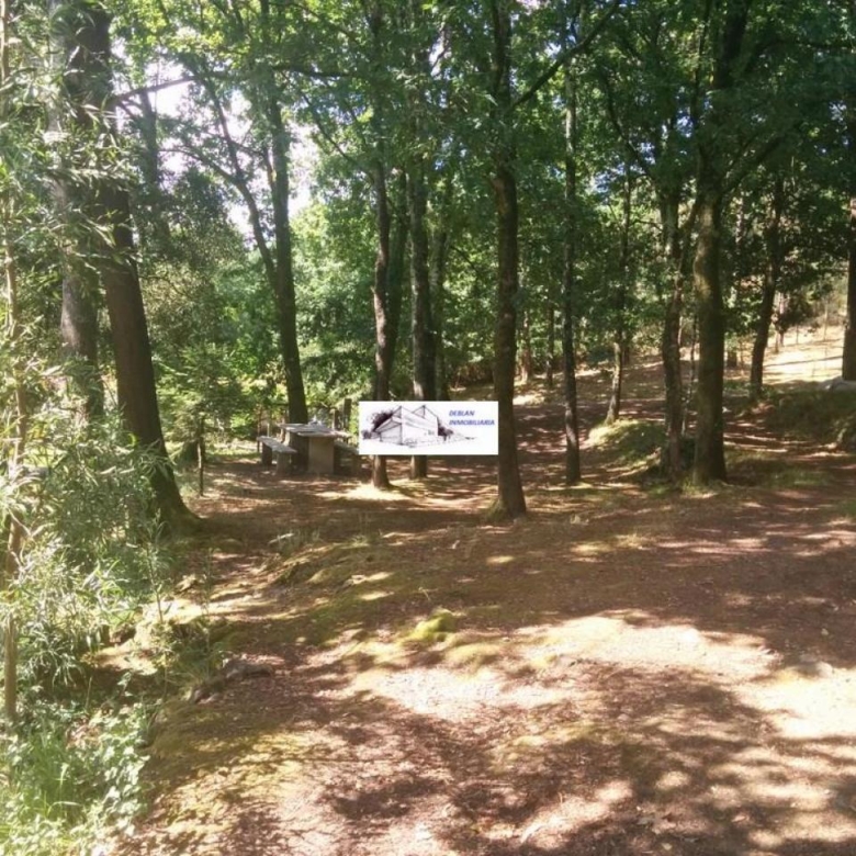 SE VENDE FINCA MOLINO DEL CENTENO DE 17.700 M2 CON MOLINO HABILITADO COMO VIVIENDA