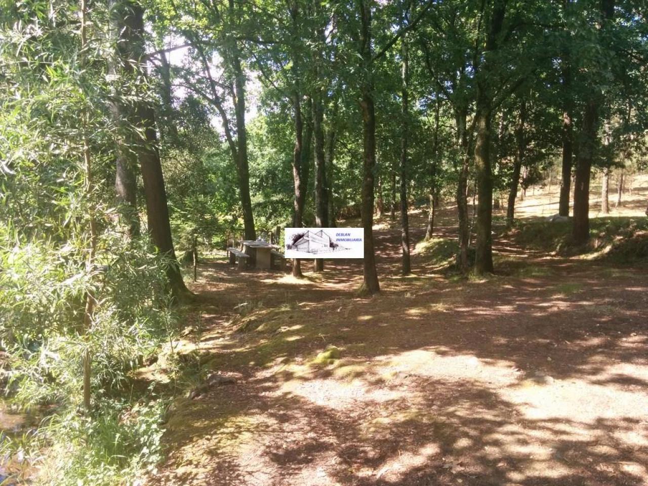 SE VENDE FINCA MOLINO DEL CENTENO DE 17.700 M2 CON MOLINO HABILITADO COMO VIVIENDA