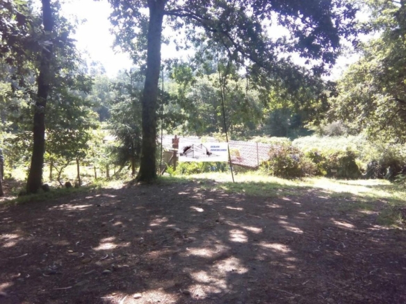 SE VENDE FINCA MOLINO DEL CENTENO DE 17.700 M2 CON MOLINO HABILITADO COMO VIVIENDA