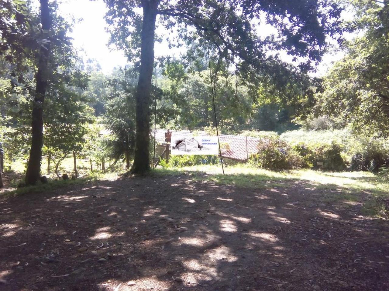 SE VENDE FINCA MOLINO DEL CENTENO DE 17.700 M2 CON MOLINO HABILITADO COMO VIVIENDA