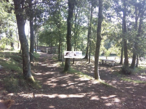 SE VENDE FINCA MOLINO DEL CENTENO DE 17.700 M2 CON MOLINO HABILITADO COMO VIVIENDA