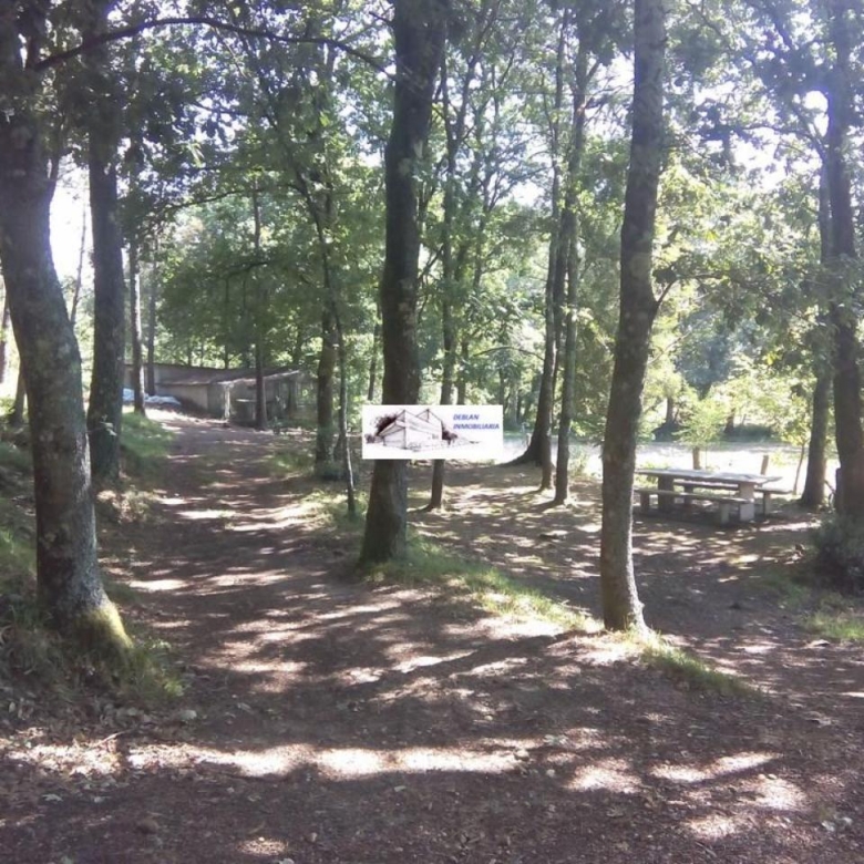 SE VENDE FINCA MOLINO DEL CENTENO DE 17.700 M2 CON MOLINO HABILITADO COMO VIVIENDA