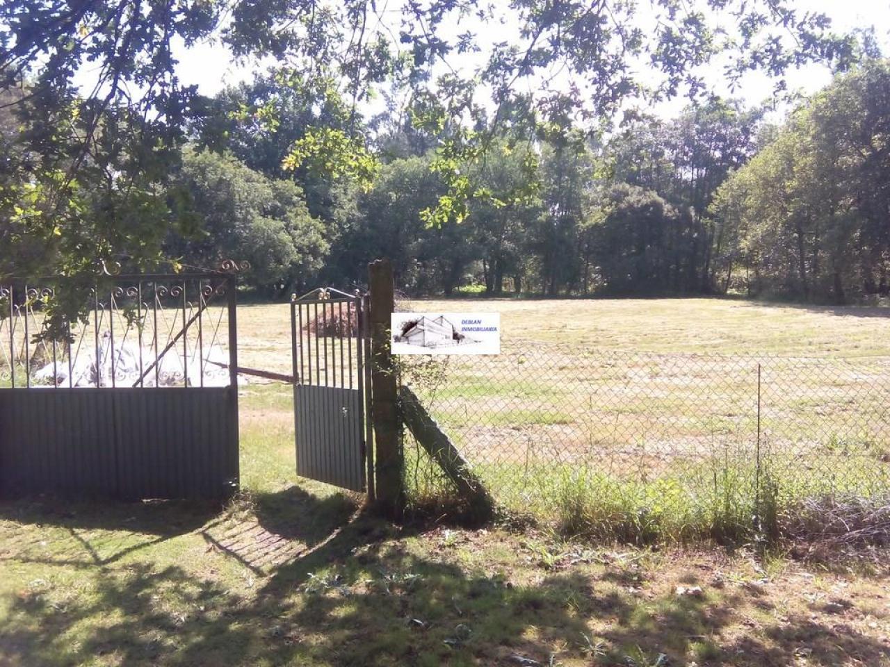 SE VENDE FINCA MOLINO DEL CENTENO DE 17.700 M2 CON MOLINO HABILITADO COMO VIVIENDA