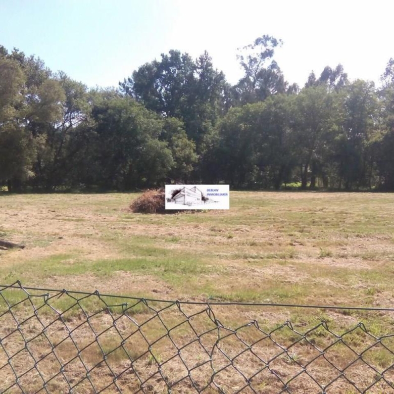 SE VENDE FINCA MOLINO DEL CENTENO DE 17.700 M2 CON MOLINO HABILITADO COMO VIVIENDA