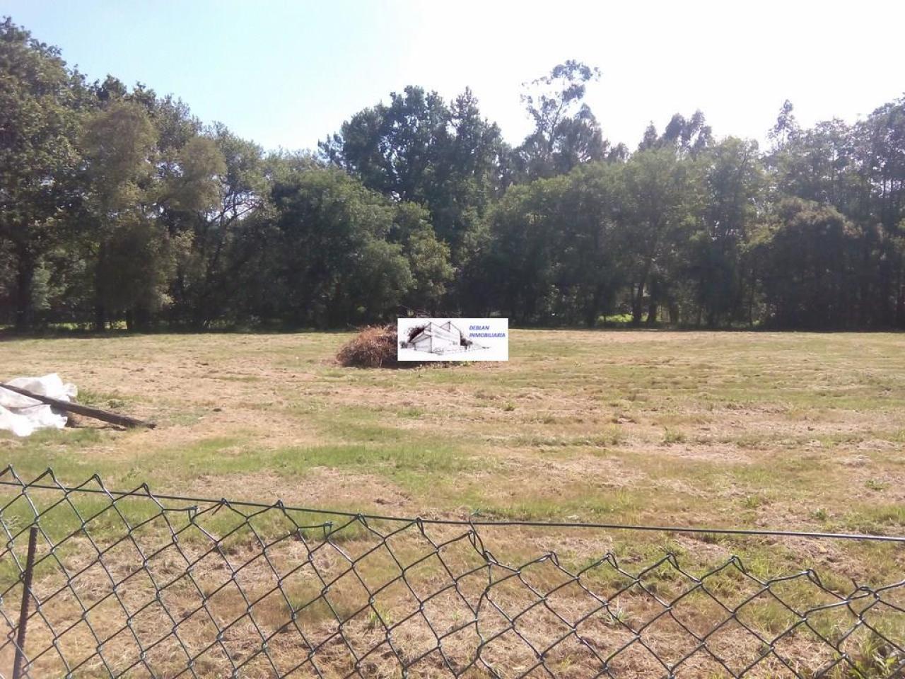 SE VENDE FINCA MOLINO DEL CENTENO DE 17.700 M2 CON MOLINO HABILITADO COMO VIVIENDA