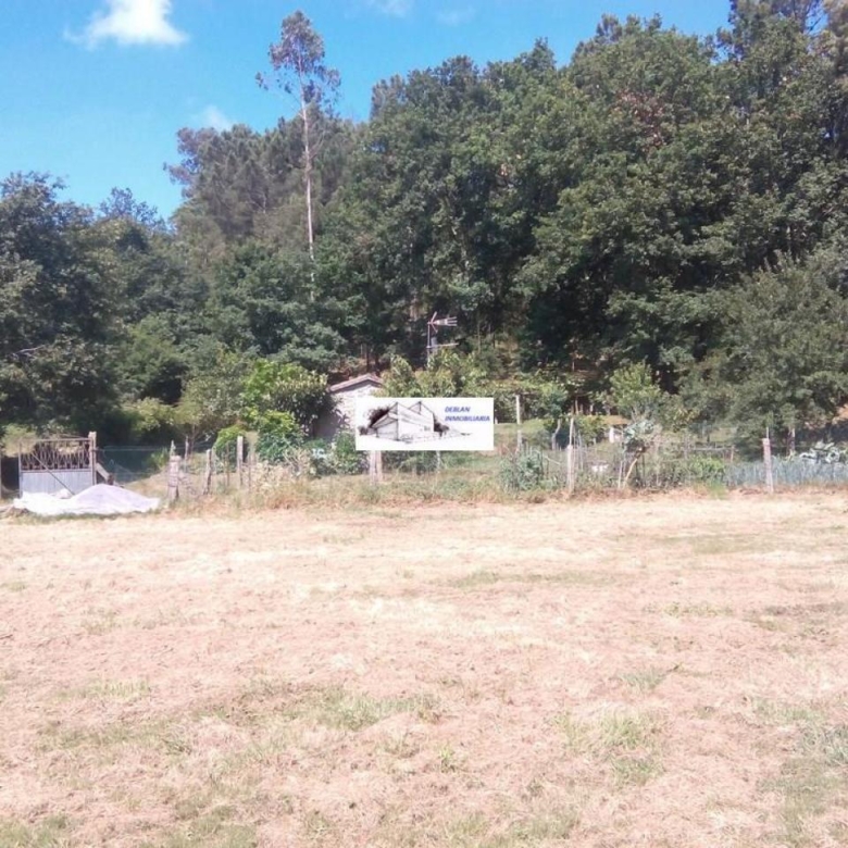 SE VENDE FINCA MOLINO DEL CENTENO DE 17.700 M2 CON MOLINO HABILITADO COMO VIVIENDA