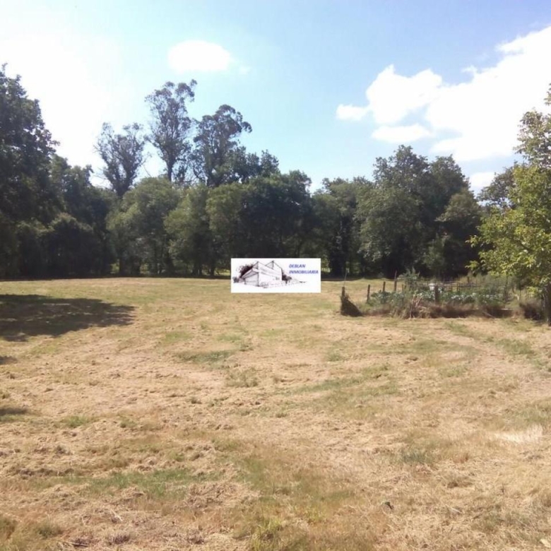 SE VENDE FINCA MOLINO DEL CENTENO DE 17.700 M2 CON MOLINO HABILITADO COMO VIVIENDA