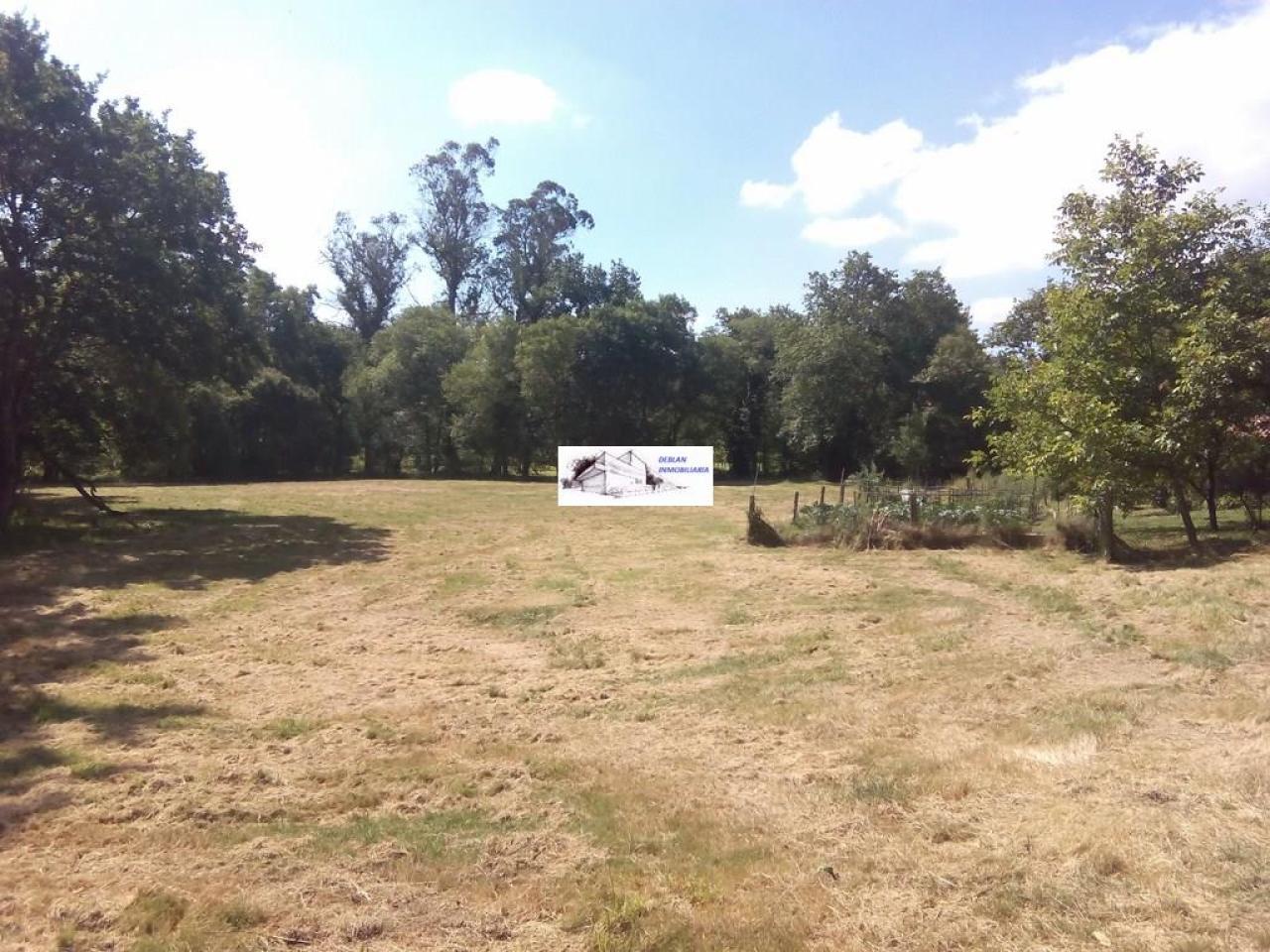 SE VENDE FINCA MOLINO DEL CENTENO DE 17.700 M2 CON MOLINO HABILITADO COMO VIVIENDA