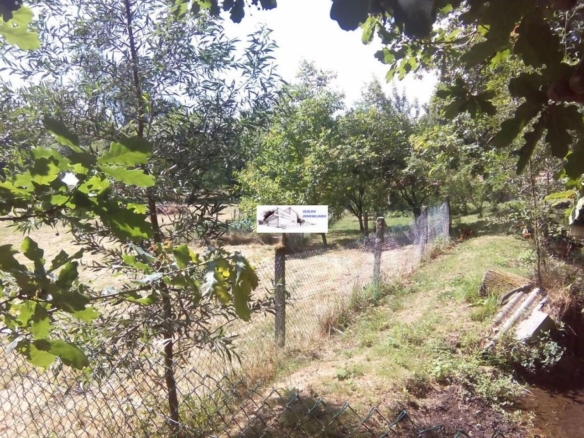 SE VENDE FINCA MOLINO DEL CENTENO DE 17.700 M2 CON MOLINO HABILITADO COMO VIVIENDA