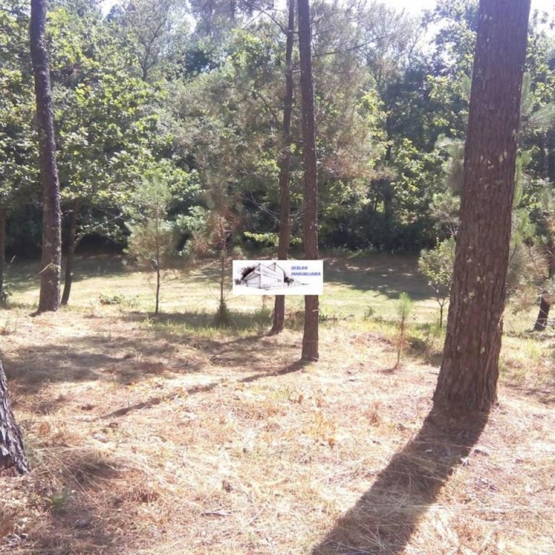 SE VENDE FINCA MOLINO DEL CENTENO DE 17.700 M2 CON MOLINO HABILITADO COMO VIVIENDA