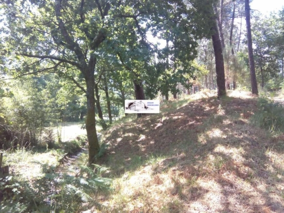 SE VENDE FINCA MOLINO DEL CENTENO DE 17.700 M2 CON MOLINO HABILITADO COMO VIVIENDA