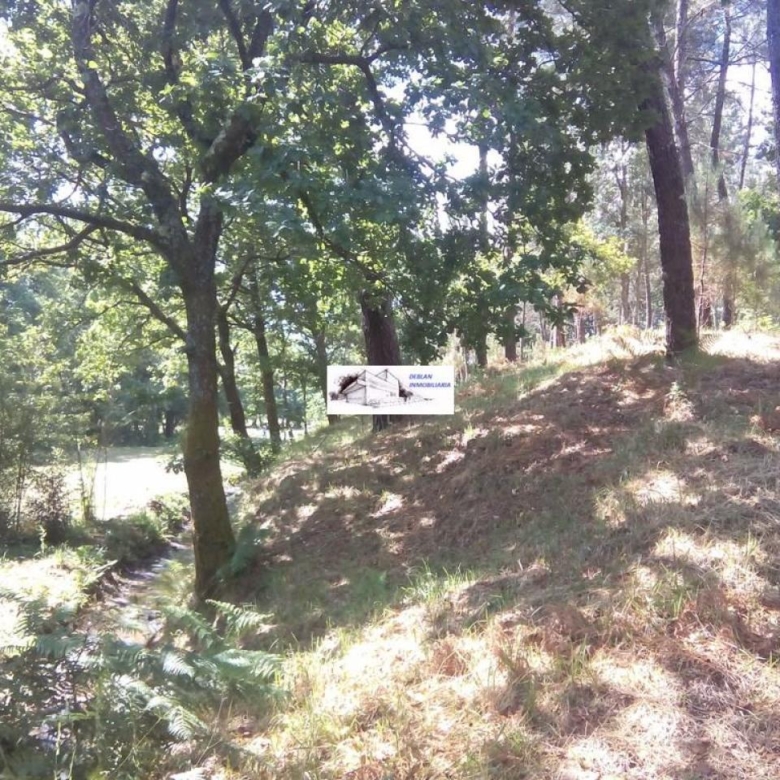 SE VENDE FINCA MOLINO DEL CENTENO DE 17.700 M2 CON MOLINO HABILITADO COMO VIVIENDA