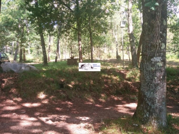 SE VENDE FINCA MOLINO DEL CENTENO DE 17.700 M2 CON MOLINO HABILITADO COMO VIVIENDA
