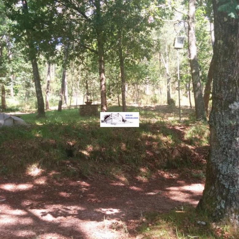 SE VENDE FINCA MOLINO DEL CENTENO DE 17.700 M2 CON MOLINO HABILITADO COMO VIVIENDA