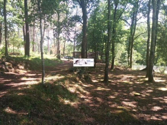 SE VENDE FINCA MOLINO DEL CENTENO DE 17.700 M2 CON MOLINO HABILITADO COMO VIVIENDA