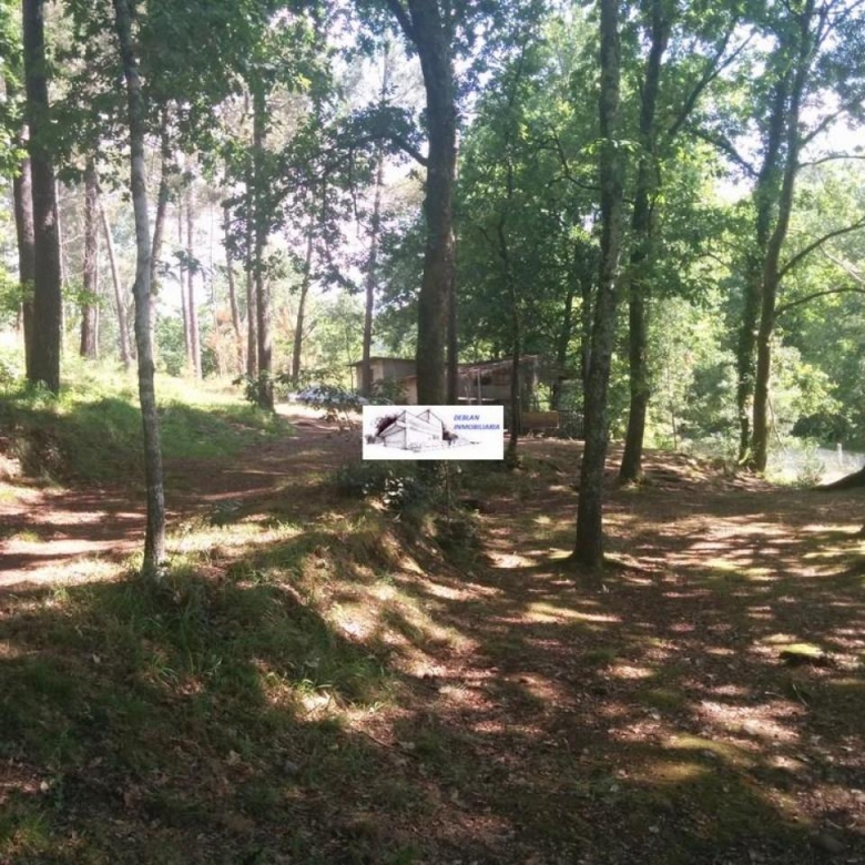 SE VENDE FINCA MOLINO DEL CENTENO DE 17.700 M2 CON MOLINO HABILITADO COMO VIVIENDA