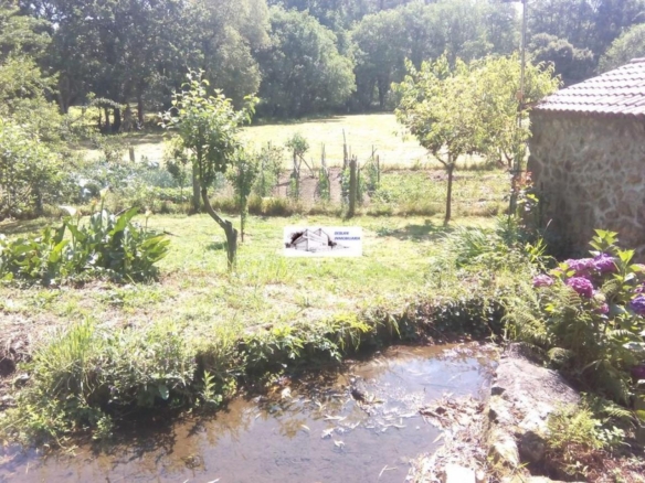 SE VENDE FINCA MOLINO DEL CENTENO DE 17.700 M2 CON MOLINO HABILITADO COMO VIVIENDA