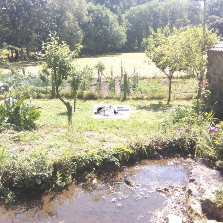 SE VENDE FINCA MOLINO DEL CENTENO DE 17.700 M2 CON MOLINO HABILITADO COMO VIVIENDA