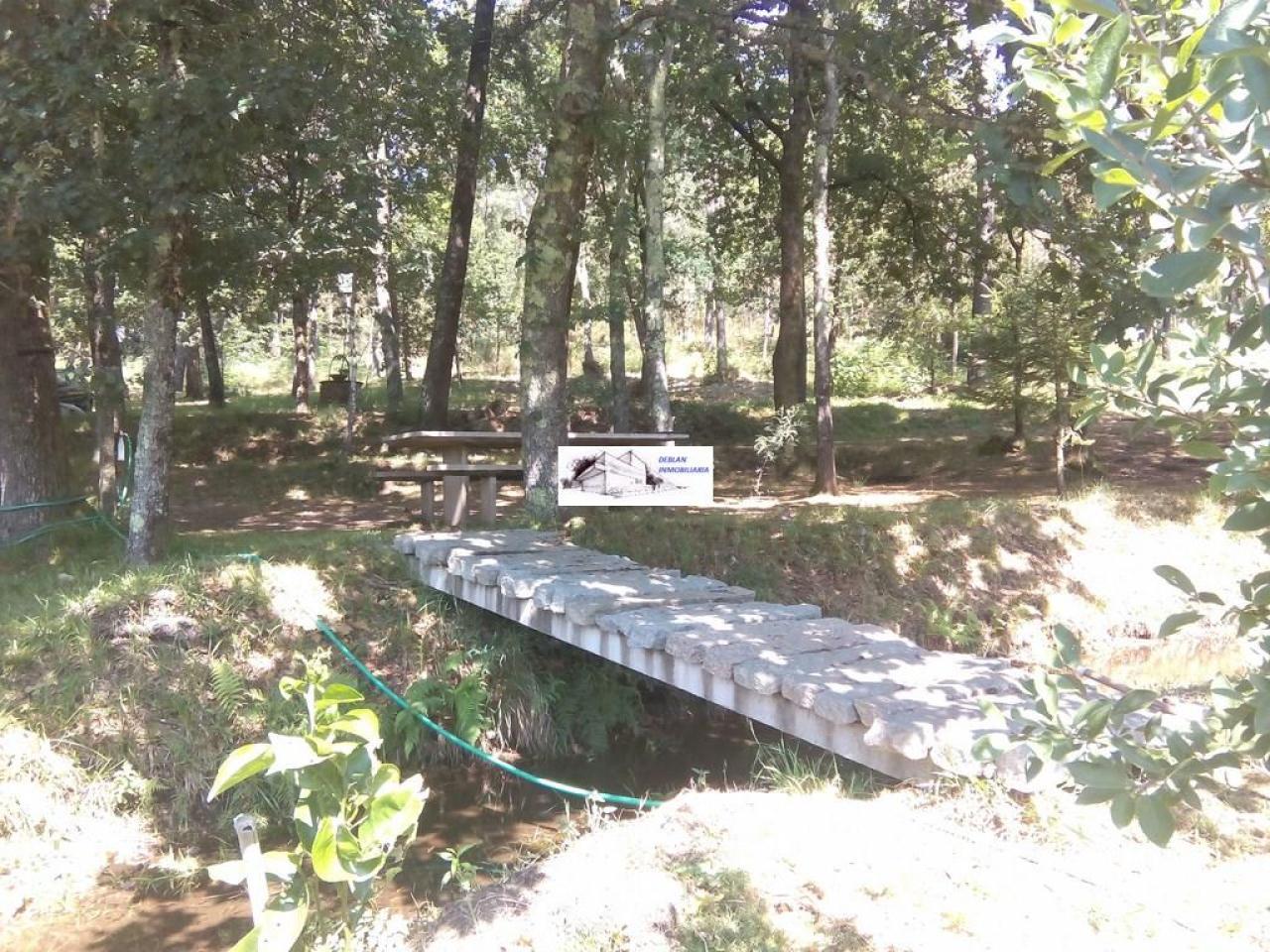 SE VENDE FINCA MOLINO DEL CENTENO DE 17.700 M2 CON MOLINO HABILITADO COMO VIVIENDA