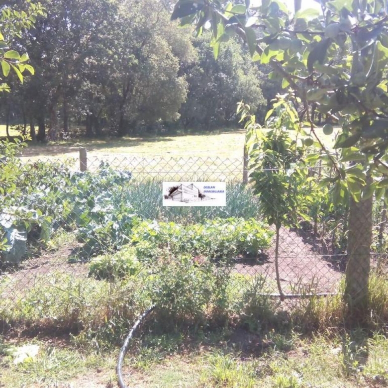 SE VENDE FINCA MOLINO DEL CENTENO DE 17.700 M2 CON MOLINO HABILITADO COMO VIVIENDA