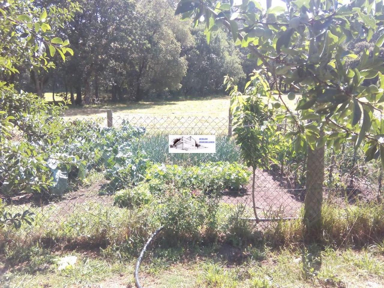 SE VENDE FINCA MOLINO DEL CENTENO DE 17.700 M2 CON MOLINO HABILITADO COMO VIVIENDA