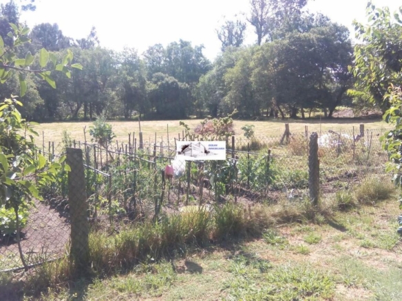 SE VENDE FINCA MOLINO DEL CENTENO DE 17.700 M2 CON MOLINO HABILITADO COMO VIVIENDA