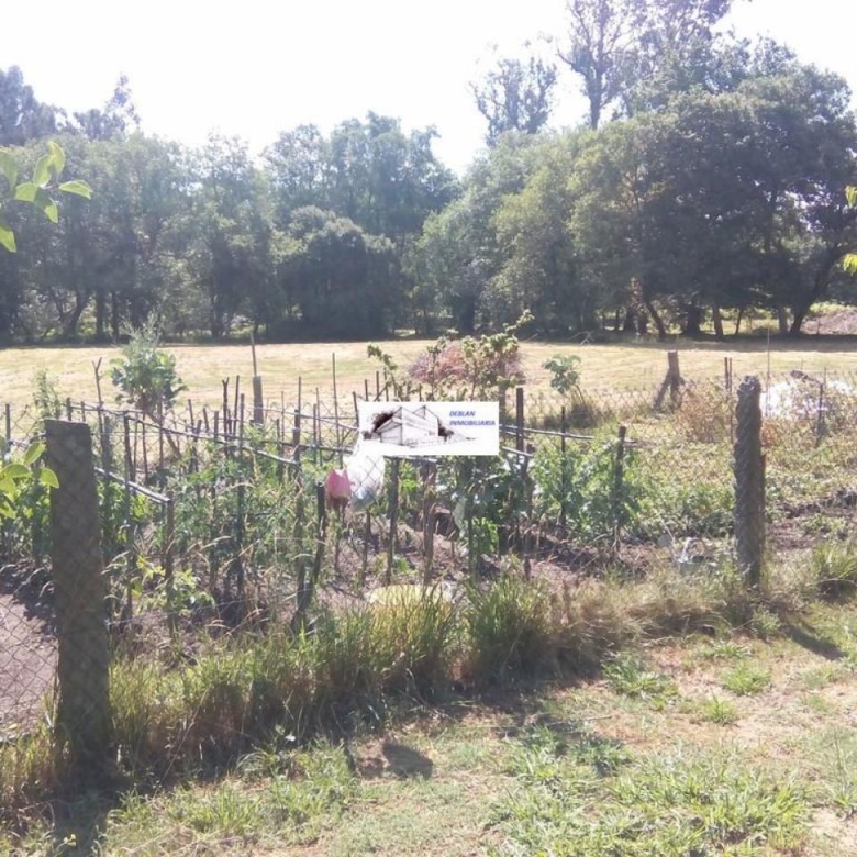 SE VENDE FINCA MOLINO DEL CENTENO DE 17.700 M2 CON MOLINO HABILITADO COMO VIVIENDA