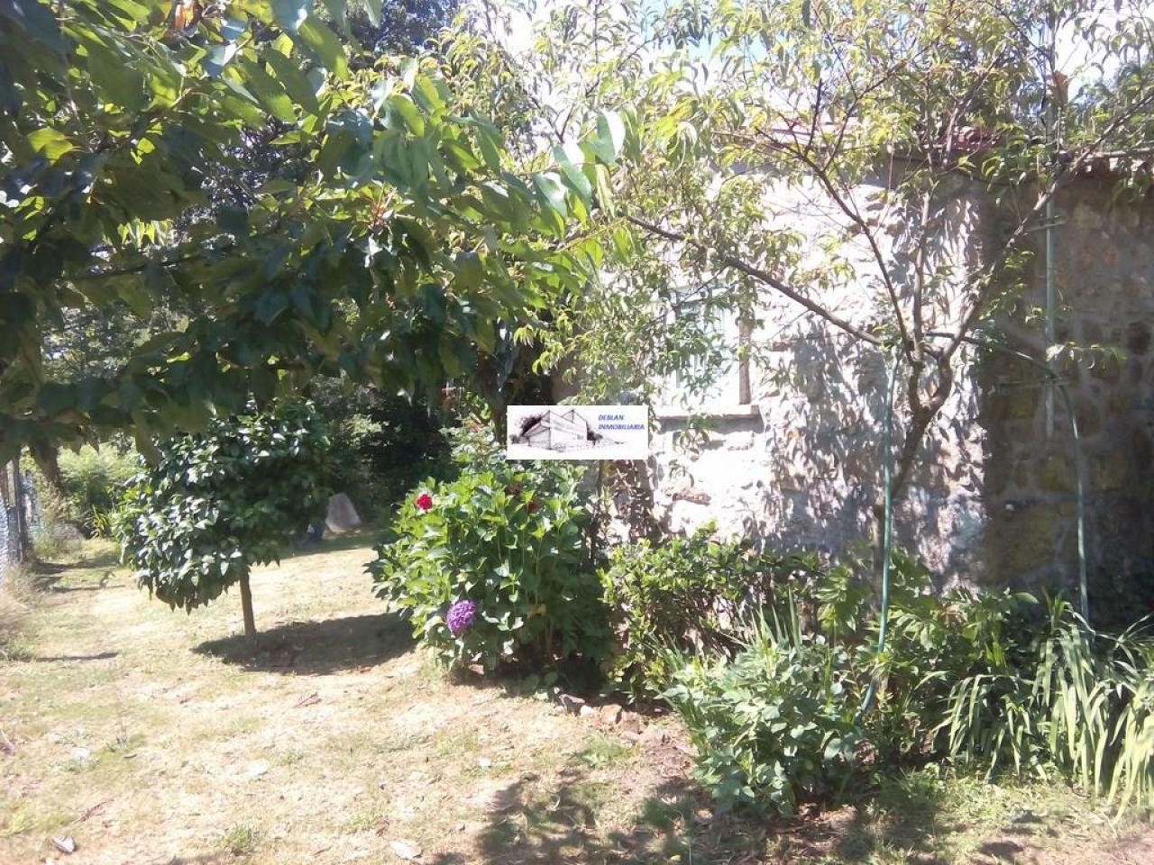 SE VENDE FINCA MOLINO DEL CENTENO DE 17.700 M2 CON MOLINO HABILITADO COMO VIVIENDA