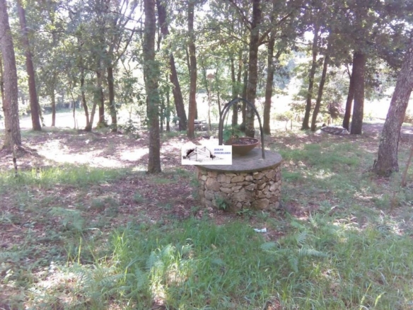SE VENDE FINCA MOLINO DEL CENTENO DE 17.700 M2 CON MOLINO HABILITADO COMO VIVIENDA