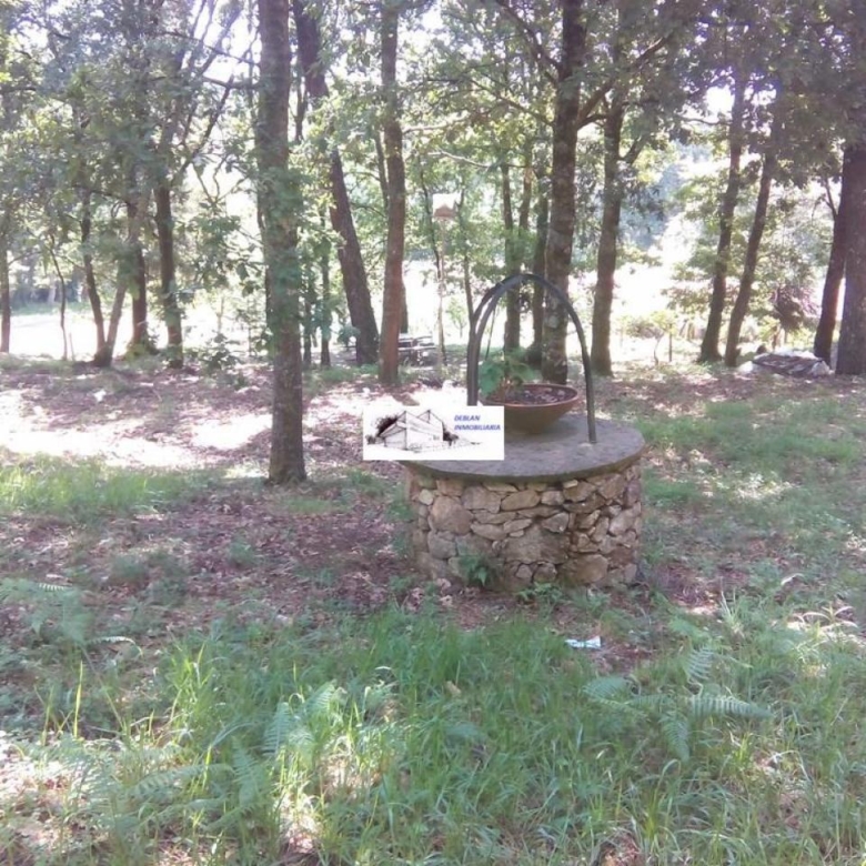 SE VENDE FINCA MOLINO DEL CENTENO DE 17.700 M2 CON MOLINO HABILITADO COMO VIVIENDA