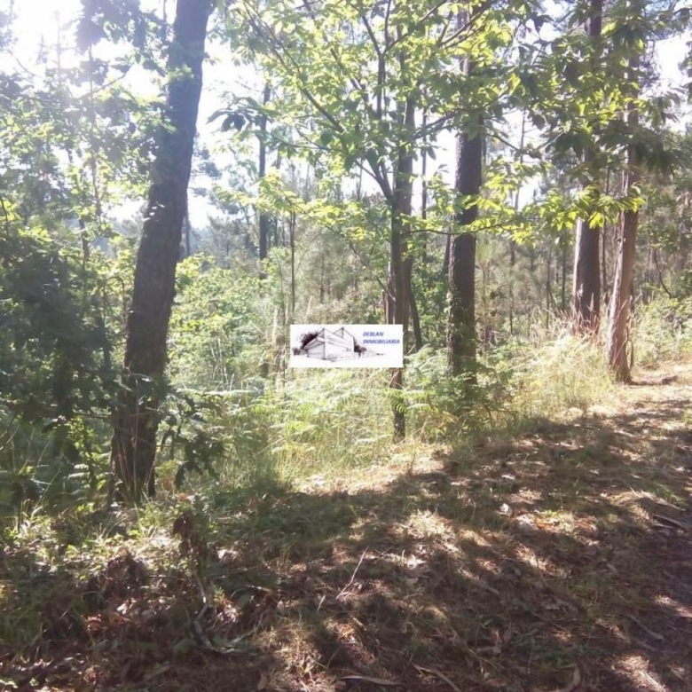 SE VENDE FINCA MOLINO DEL CENTENO DE 17.700 M2 CON MOLINO HABILITADO COMO VIVIENDA