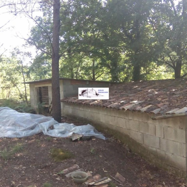 SE VENDE FINCA MOLINO DEL CENTENO DE 17.700 M2 CON MOLINO HABILITADO COMO VIVIENDA